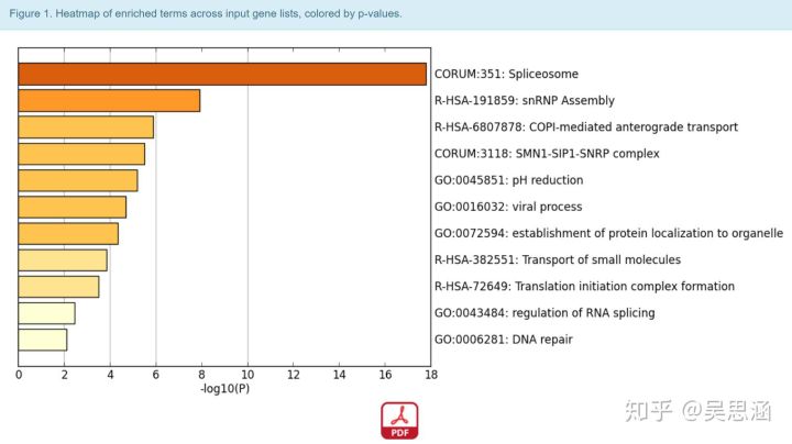 吳思涵博士教程 | 我想做信號通路分析，但我就是不想學編程-肽度TIMEDOO