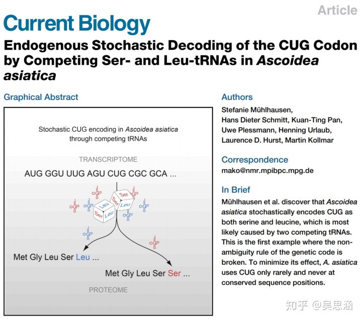 吳思涵博士教程：有關(guān)氨基酸密碼子表，教科書還漏了許多重點(diǎn)-肽度TIMEDOO