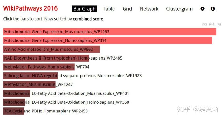 吳思涵博士教程 | 我想做信號通路分析，但我就是不想學編程-肽度TIMEDOO
