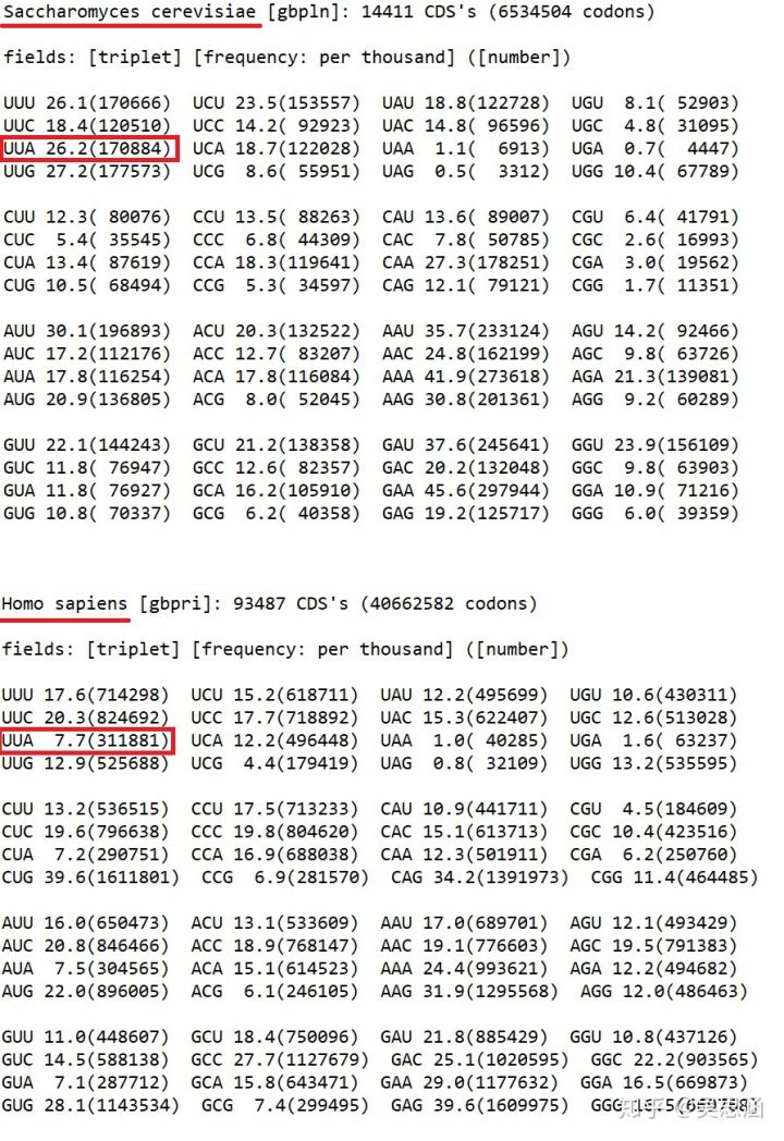吳思涵博士教程：有關(guān)氨基酸密碼子表，教科書還漏了許多重點(diǎn)-肽度TIMEDOO