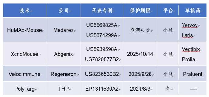 單克隆抗體技術與藥物的專利淺析-肽度TIMEDOO