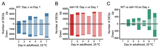 衰老并不是一個完全隨機(jī)紊亂的過程，Aging Cell發(fā)現(xiàn)其中的規(guī)律-肽度TIMEDOO