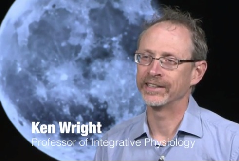 Current Biology:周末睡懶覺不能補償你的“睡眠債”-肽度TIMEDOO