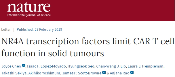 為什么在實(shí)體瘤中CAR-T“療效不佳”？Nature最新文章給出解答-肽度TIMEDOO