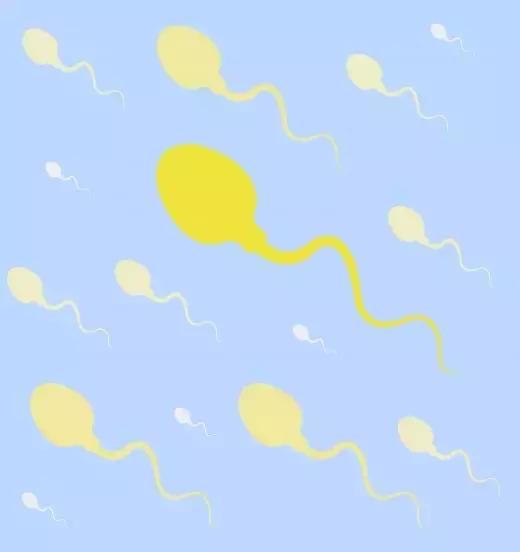 復(fù)發(fā)性流產(chǎn)不僅僅只是女性原因,還和男性精子質(zhì)量有關(guān)-肽度TIMEDOO