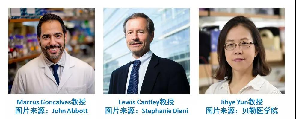 要命還是要快樂？《科學(xué)》發(fā)現(xiàn)糖漿會促進(jìn)腫瘤生長-肽度TIMEDOO