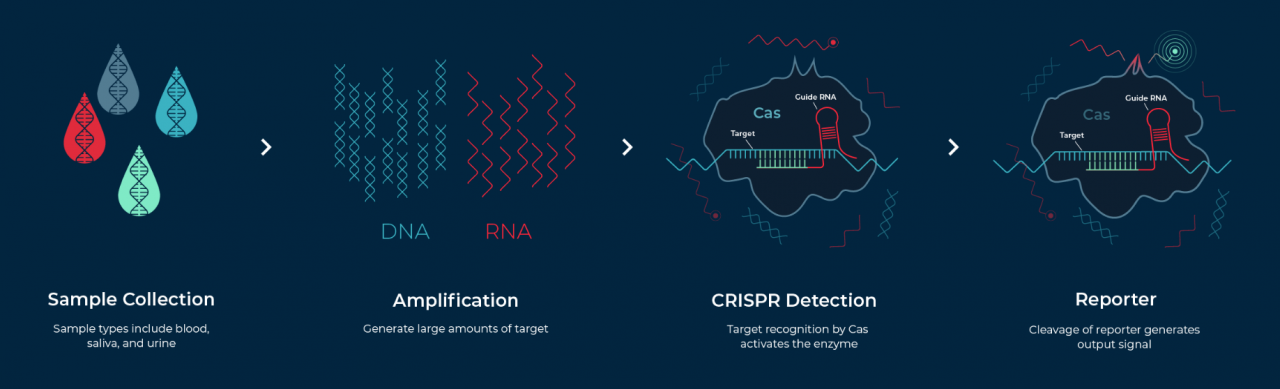 當(dāng)合成生物學(xué)遇上CRISPR，張鋒又成立新公司了-肽度TIMEDOO