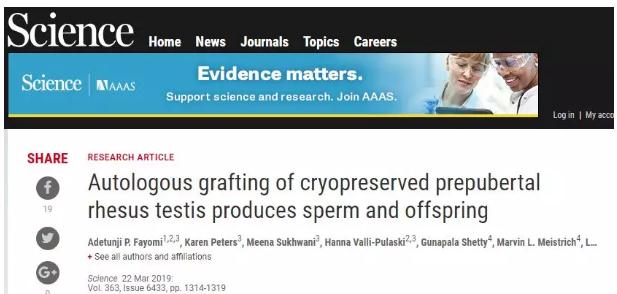 Science：兒童癌癥患者的生育能力有救了，動物實驗已成功生下健康后代-肽度TIMEDOO