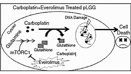 科學(xué)家開發(fā)出小兒腦瘤新療法-肽度TIMEDOO