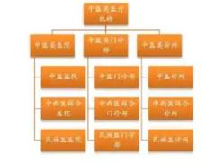 360截圖20190408160202269.jpg 2018年中醫(yī)館發(fā)展白皮書-肽度TIMEDOO