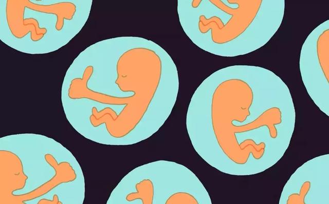 迄今最大規(guī)模研究發(fā)現(xiàn)，試管嬰兒總體患癌率比自然受孕嬰兒高出約17%-肽度TIMEDOO