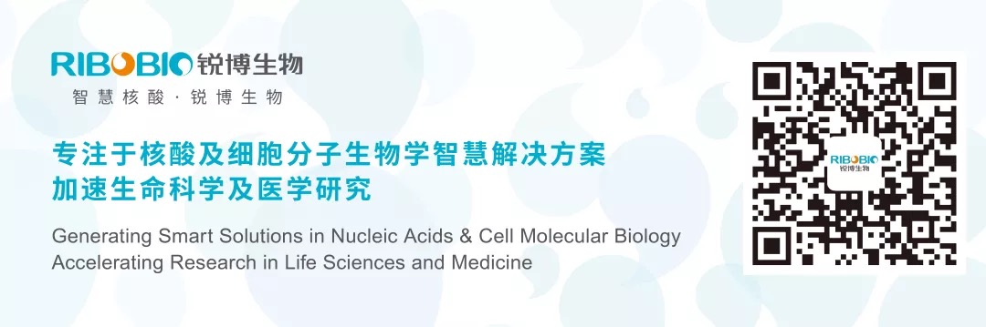 一起來盤點(diǎn)lncRNA最新研究進(jìn)展(20181218)-肽度TIMEDOO