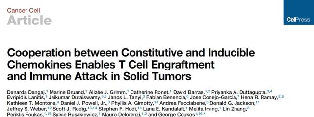 Cancer Cell：T 細(xì)胞打入腫瘤細(xì)胞要先對(duì)好“暗號(hào)”-肽度TIMEDOO