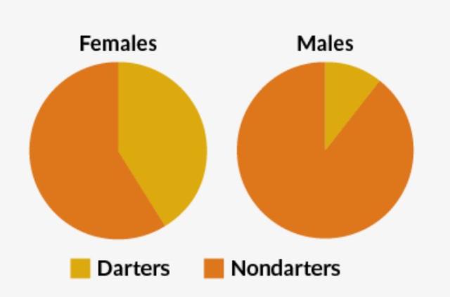 絕大部分實(shí)驗(yàn)鼠是雄性的，為何做實(shí)驗(yàn)也搞“性別歧視”-肽度TIMEDOO