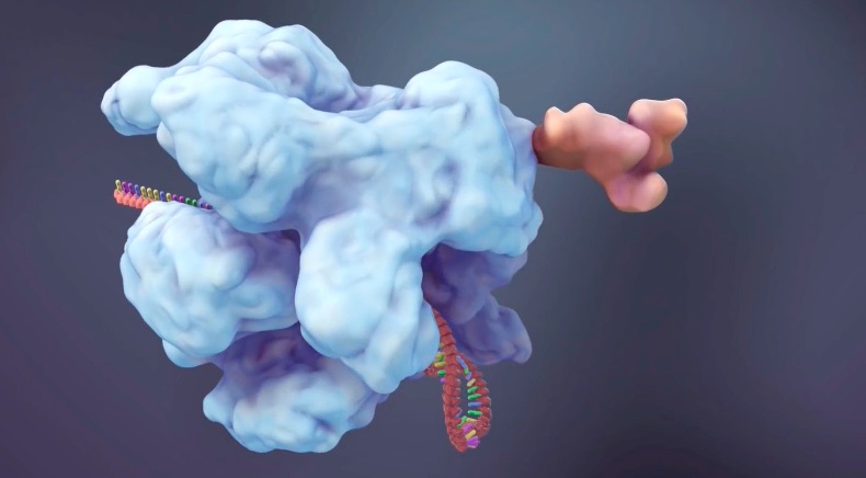 Nature醫(yī)學(xué)動畫:除了切割DNA，CRISPR-CAS9還可以做什么呢？-肽度TIMEDOO
