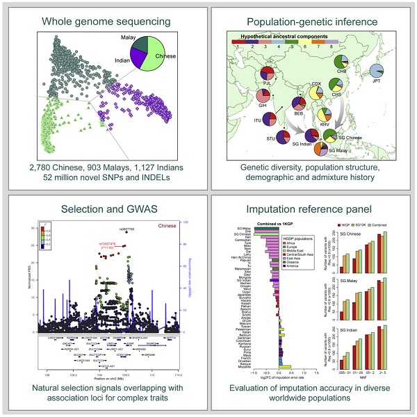 Cell:新加坡三個(gè)亞洲人群的大規(guī)模測(cè)序-肽度TIMEDOO