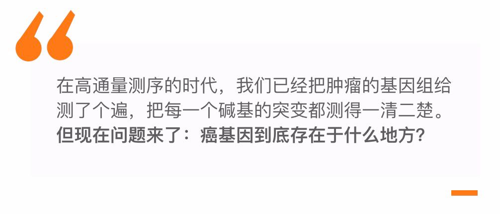 專訪|Nature重大發(fā)現(xiàn)：癌基因竟不在染色體上？第一作者吳思涵親身解讀！-肽度TIMEDOO