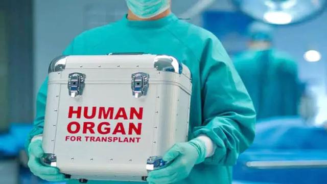 世界首例！37歲男子腎移植后，無需服用免疫抑制藥物，或?qū)⒏膶懫鞴僖浦灿螒蛞?guī)則-肽度TIMEDOO