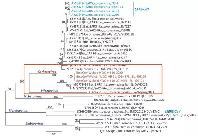 無癥狀病例已現(xiàn)！是誰把新冠病毒帶到武漢？科學(xué)家加速病毒溯源-肽度TIMEDOO