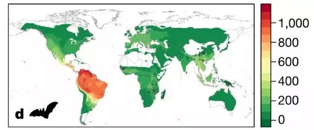 無癥狀病例已現(xiàn)！是誰把新冠病毒帶到武漢？科學(xué)家加速病毒溯源-肽度TIMEDOO