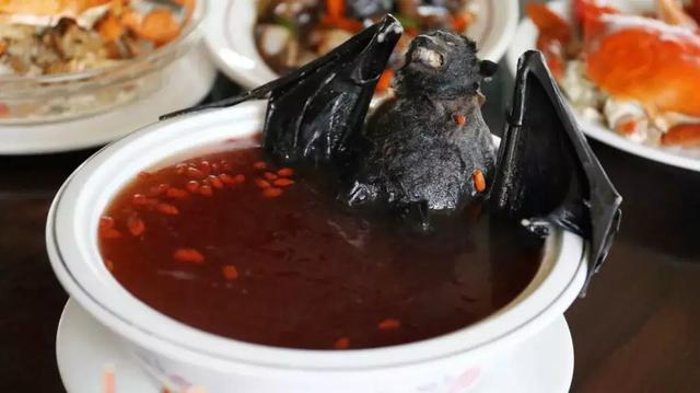 無癥狀病例已現(xiàn)！是誰把新冠病毒帶到武漢？科學(xué)家加速病毒溯源-肽度TIMEDOO