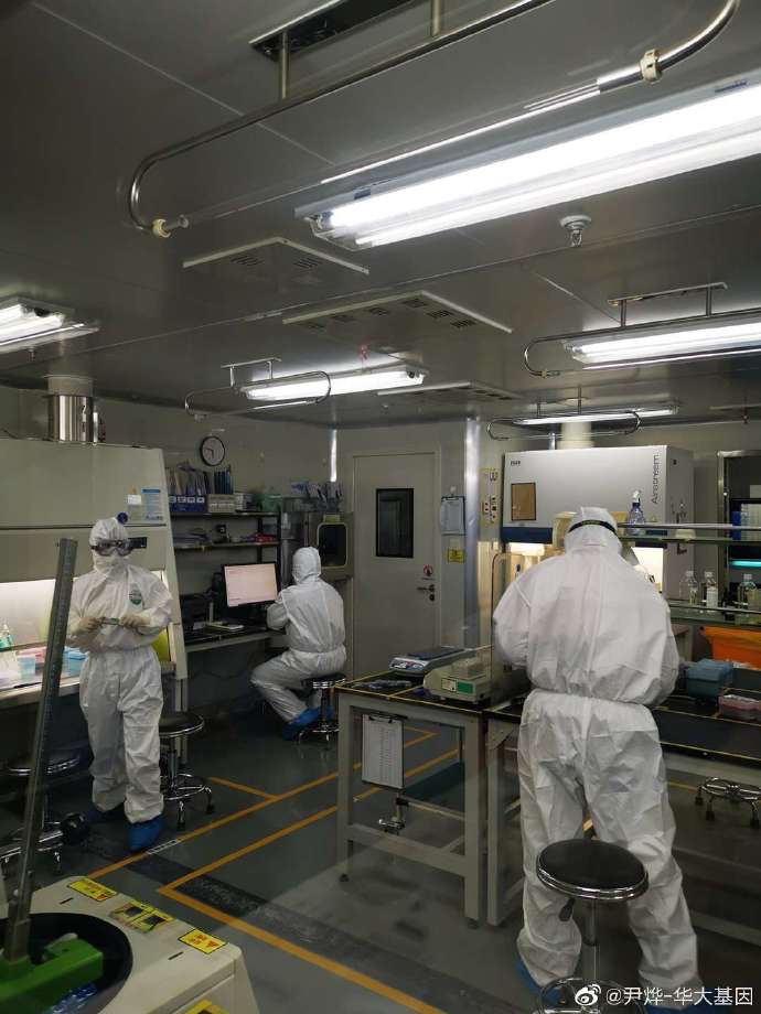 華大基因汪建奔赴武漢 參與一線偵破冠狀病源體-肽度TIMEDOO