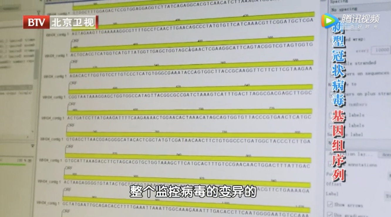 北京衛(wèi)視:揭秘新型冠狀病毒發(fā)現(xiàn)過程-肽度TIMEDOO