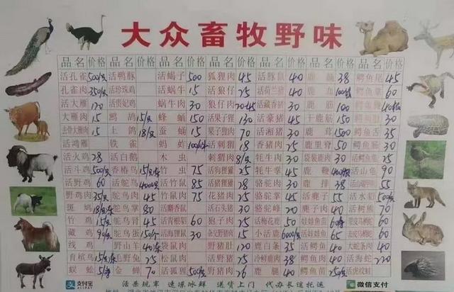 新型冠狀病毒溯源取得階段性進(jìn)展！大多來自武漢華南海鮮市場-肽度TIMEDOO