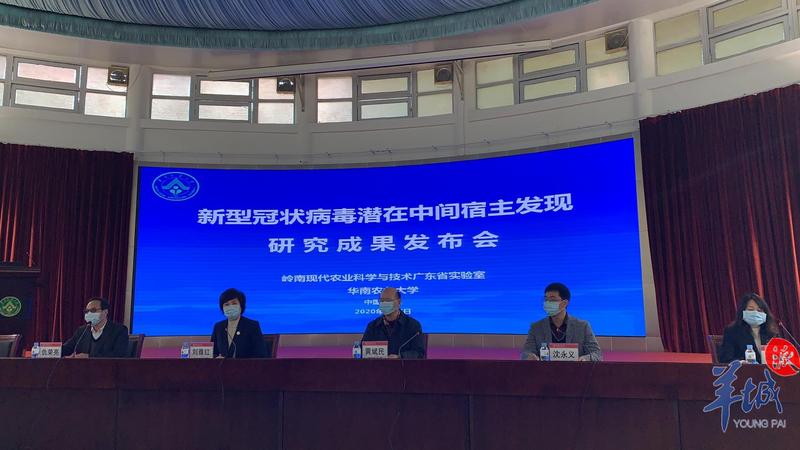 為什么是穿山甲?華農(nóng):分離病毒毒株感染人的基因序列相似性99%-肽度TIMEDOO