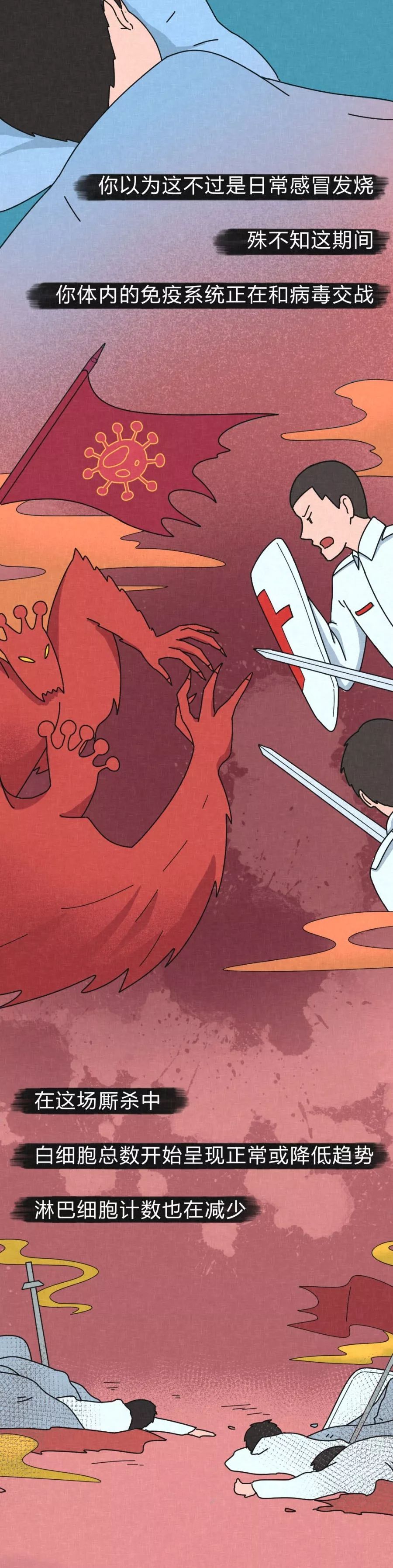 病毒進(jìn)入體內(nèi)的48小時(shí)-肽度TIMEDOO