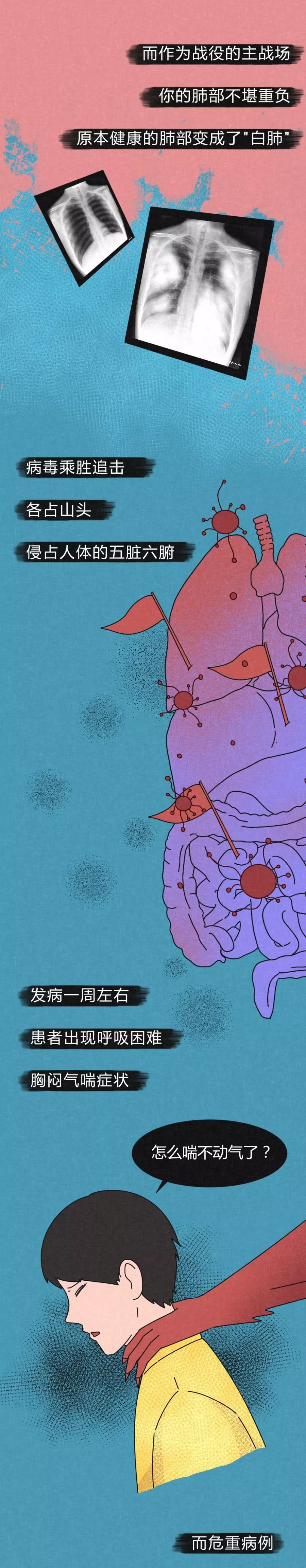 病毒進(jìn)入體內(nèi)的48小時(shí)-肽度TIMEDOO