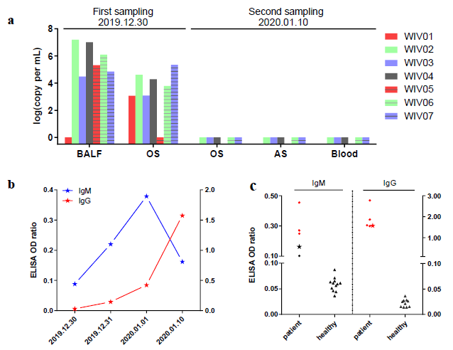 武漢病毒所/生物安全大科學(xué)中心揭示新型冠狀病毒(2019-nCoV)或來源于蝙蝠-肽度TIMEDOO