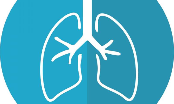 美國費城兒童醫(yī)院: 刺激肺組織修復(fù)的新靶點-肽度TIMEDOO
