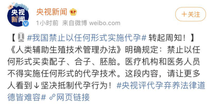 代孕的誘惑與困境-肽度TIMEDOO