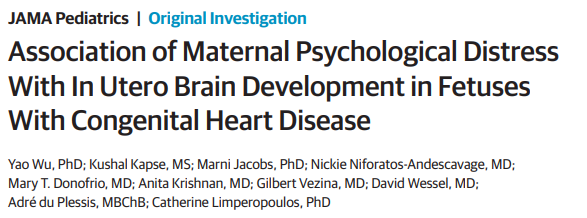 代孕的誘惑與困境-肽度TIMEDOO