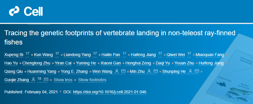 魚是怎么爬上陸地的？華大等機構同期2篇Cell論文揭示脊椎動物從水生到陸生的演化之謎!-肽度TIMEDOO