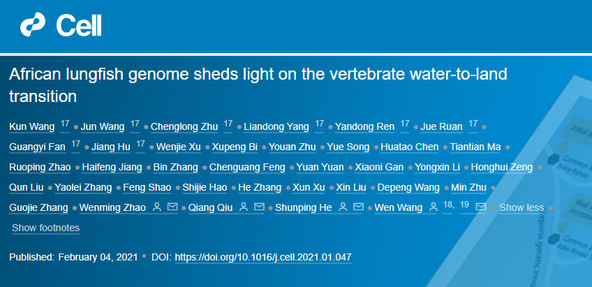 魚是怎么爬上陸地的？華大等機構同期2篇Cell論文揭示脊椎動物從水生到陸生的演化之謎!-肽度TIMEDOO