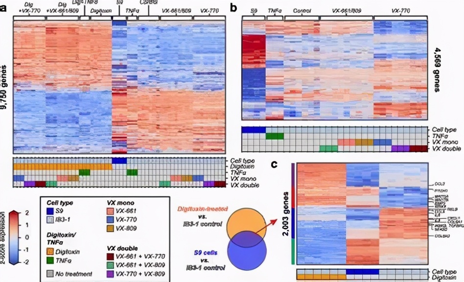 mRNA新冠疫苗研發(fā)成功，若用于治療其他疾病，還將面臨哪些挑戰(zhàn)？-肽度TIMEDOO