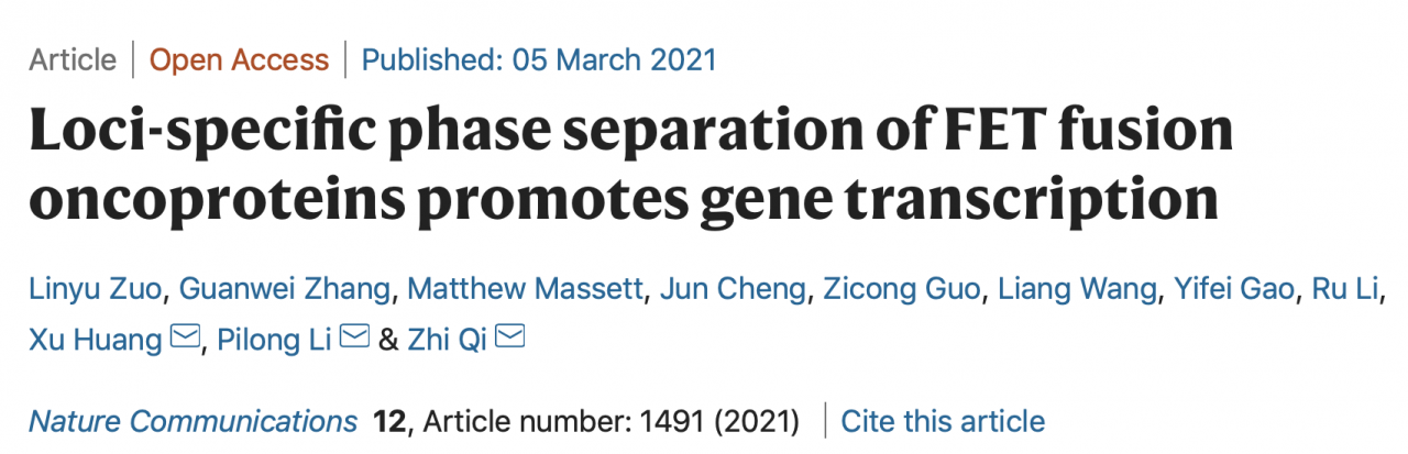 北大-清華齊志、李丕龍、黃旭團(tuán)隊(duì)合作揭示FET家族融合致癌蛋白利用相分離提高轉(zhuǎn)錄的機(jī)理研究-肽度TIMEDOO