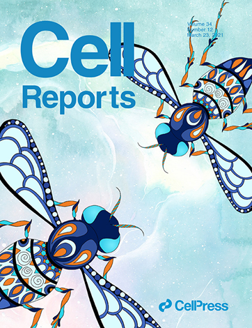 Cell Reports封面 | 王濤實(shí)驗(yàn)室發(fā)現(xiàn)PINK1在調(diào)節(jié)細(xì)胞生長中的作用機(jī)制-肽度TIMEDOO