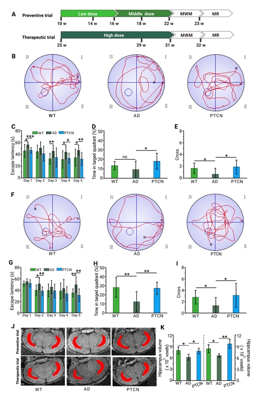 新型納米藥物有望防治阿爾茨海默病-肽度TIMEDOO