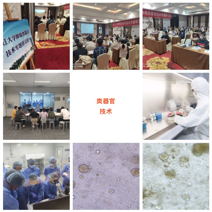 12月15日-18日|浙江大學(xué)第3期腫瘤類(lèi)器官專(zhuān)題研習(xí)班招生中(名額有限)-肽度TIMEDOO