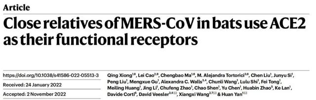 武大病毒學最新研究:首次揭示蝙蝠MERS相關冠狀病毒受體-肽度TIMEDOO