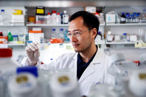 50b1e61bda727190151bfaf57e881e4.jpg 科學(xué)家建立新技術(shù)揭示細胞間相互作用-肽度TIMEDOO