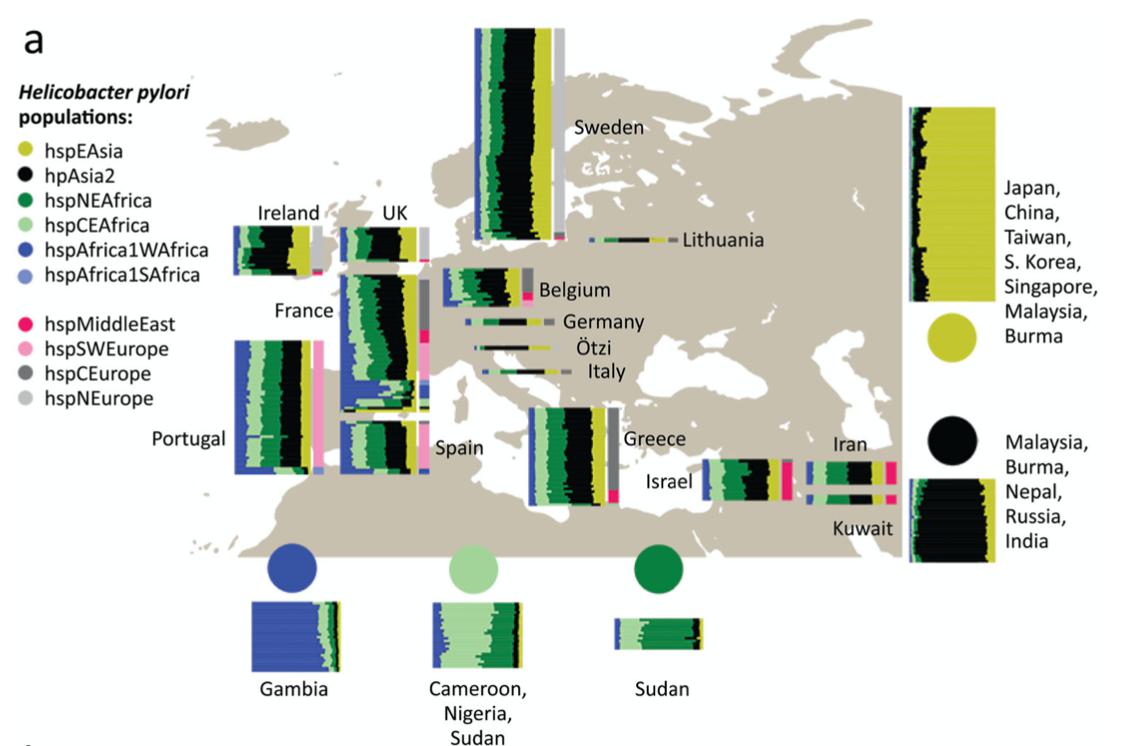 Nature Communications | Daniel Falush 課題組揭示幽門螺桿菌如何“走出非洲”-肽度TIMEDOO