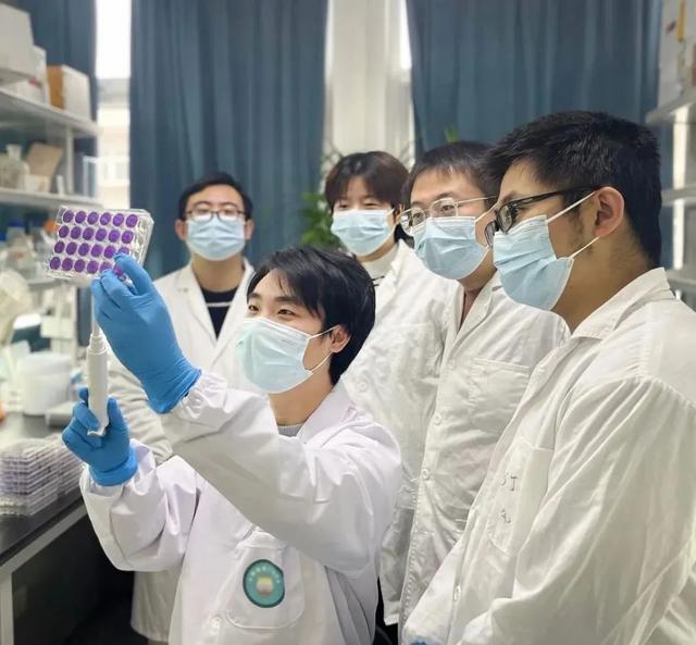 武大病毒學最新研究:首次揭示蝙蝠MERS相關冠狀病毒受體-肽度TIMEDOO