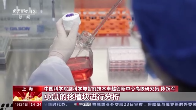 科技強國在路上丨守護生命健康 這些生物醫(yī)學領域有了新進展-肽度TIMEDOO