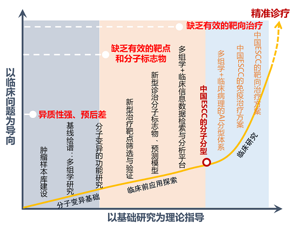 深圳灣實(shí)驗(yàn)室食管鱗癌研究取得一系列重要進(jìn)展-肽度TIMEDOO