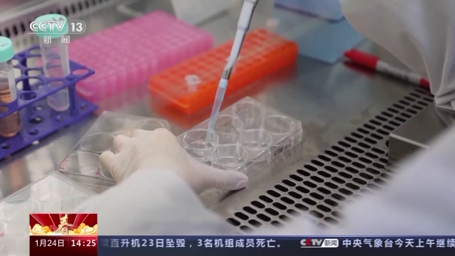 科技強國在路上丨守護生命健康 這些生物醫(yī)學領域有了新進展-肽度TIMEDOO