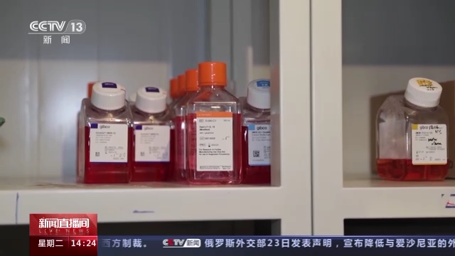 科技強國在路上丨守護生命健康 這些生物醫(yī)學領域有了新進展-肽度TIMEDOO